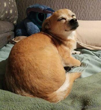 Ar / afaeded nude photo #23