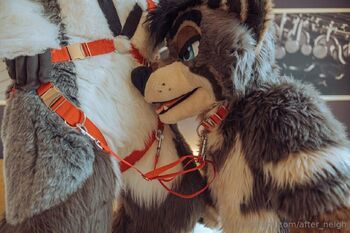 After Neigh / after_neigh nude photo #31