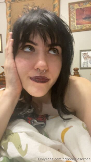 Agreeablesorbe / agreeablesorbet nude photo #16