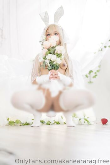 あか / akaneararagifree nude photo #13