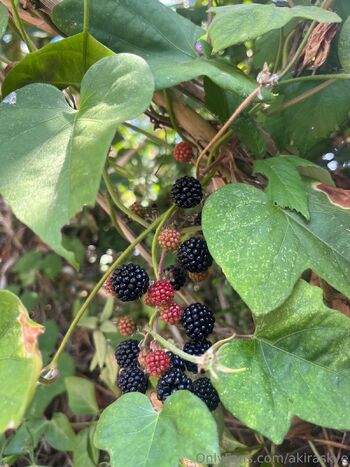 Akira Sky / akiraskye nude photo #18