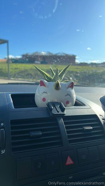 Alex Sa / alexandrathorn / missalexthorn / dildodorothy nude photo #20