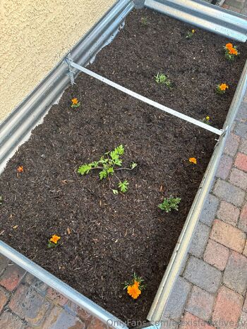 AlexisFawx.T / alexisfawxlive.tv / alexisfawx / plantmomafawx nude photo #8