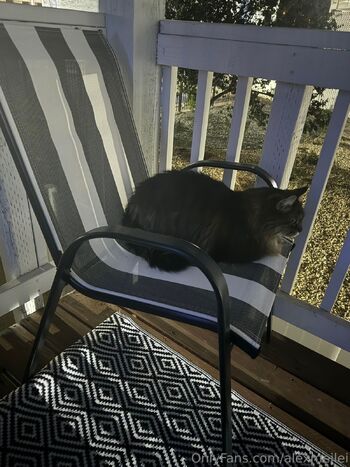 Alex MeiLe / alexmeilei nude photo #32