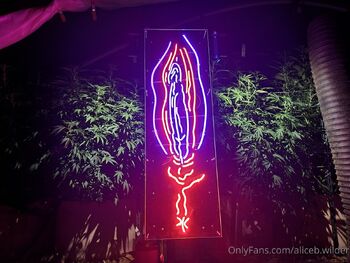 Alice B. Wilde / aliceb.wilder / genitalelectric nude photo #9