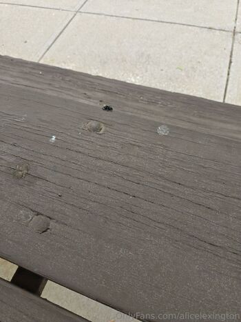 Alice Lexingto / alicelexington nude photo #4