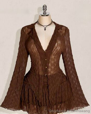 Alina Wan / alinawang nude photo #23