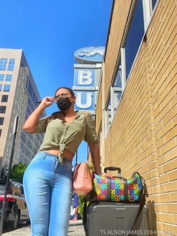 Alison Jame / alisonjames nude photo #17