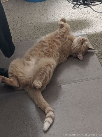 Ally Cake / allycakes_12 nude photo #3