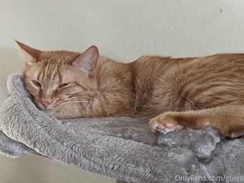 Ally Cake / allycakes_12 nude photo #5