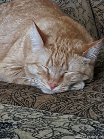 Ally Cake / allycakes_12 nude photo #6