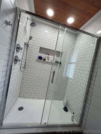 AllyTheCat / allythecat nude photo #11