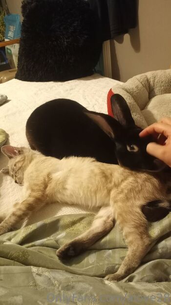 ALove2 / alove28 nude photo #4