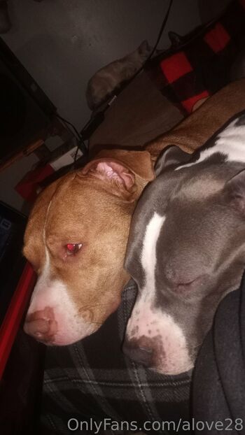 ALove2 / alove28 nude photo #6