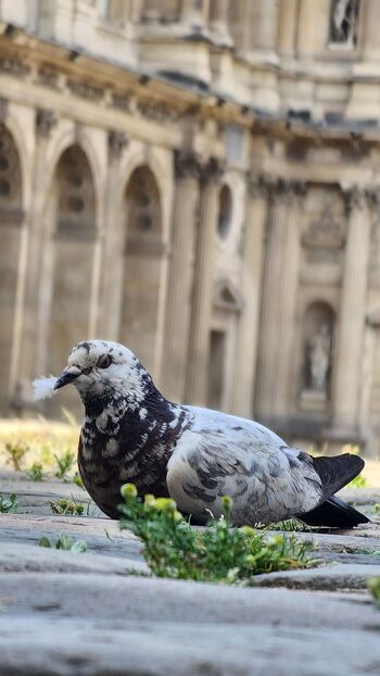 Aly Exhal / aly_exhale nude photo #9