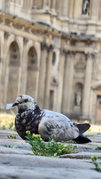 Aly Exhal / aly_exhale nude photo #17