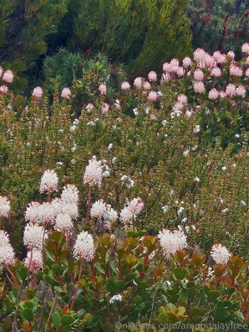 Amanda Jay FREE / amandajayfree nude photo #1