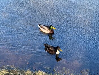 from Ashes to Amar / amaraevermore nude photo #11