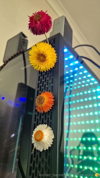 Amber Bayne / amberbaynes92 nude photo #14