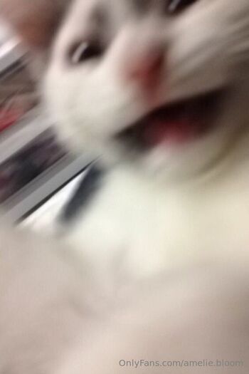 Amelie Catnip / amelie.bloom nude photo #9