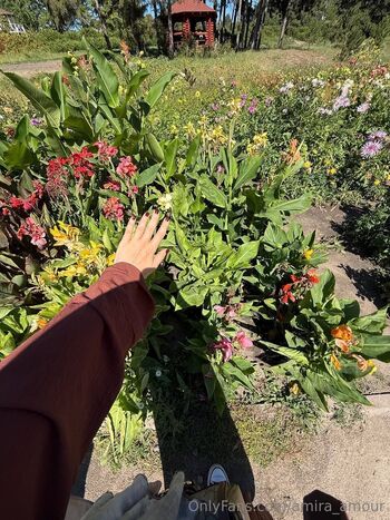 Amira / amira_amour nude photo #23