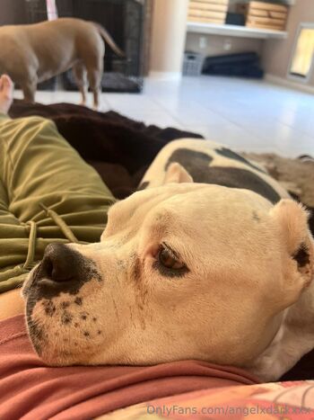 Angel Dark Free Pag / angeldarkxxx nude photo #25