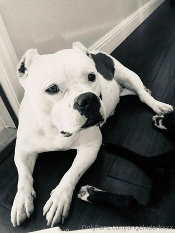 Angel Dark Free Pag / angeldarkxxx nude photo #28