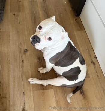 Angel Dark Free Pag / angeldarkxxx nude photo #32