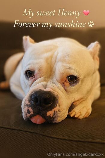 Angel Dark Free Pag / angeldarkxxx nude photo #33