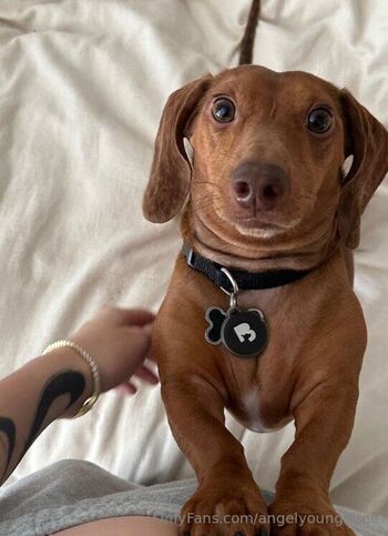 Angel Young / angelyoungsfree nude photo #37