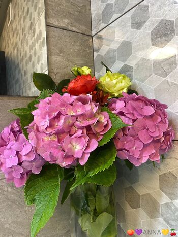 ANNA / anna_love66 / anna_llove66 nude photo #32