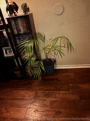 Artemi / archerartemis / chibithearcher nude photo #5