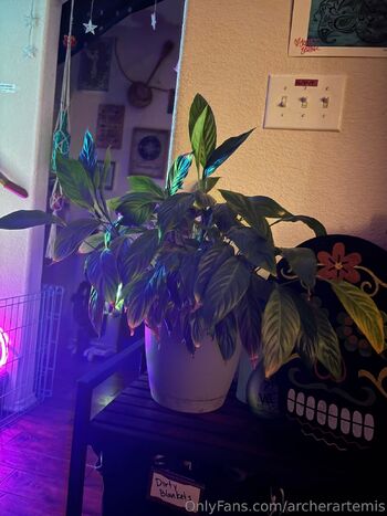 Artemi / archerartemis / chibithearcher nude photo #6