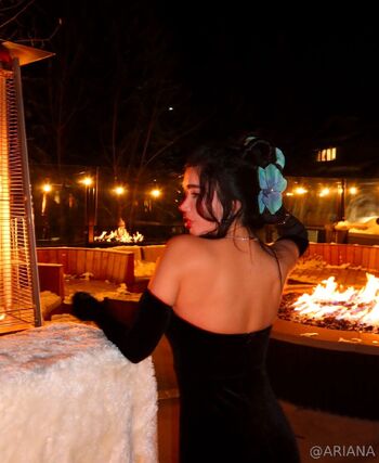 ARIAN / ariana nude photo #15