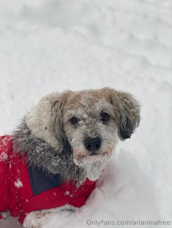 AriaNin / arianinafree nude photo #25