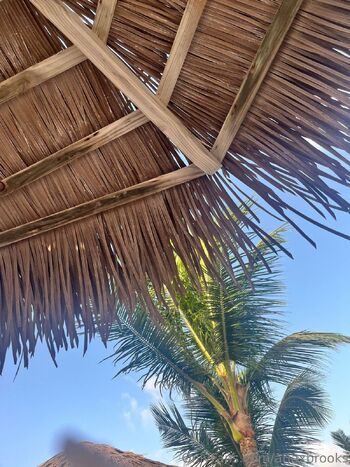 aria / ariaxbrooks nude photo #10