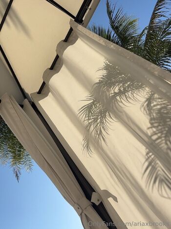 aria / ariaxbrooks nude photo #30