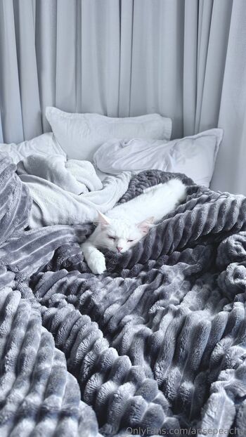 Arise Peachy / arisepeachy / ariseprincess / mushr.girl nude photo #9