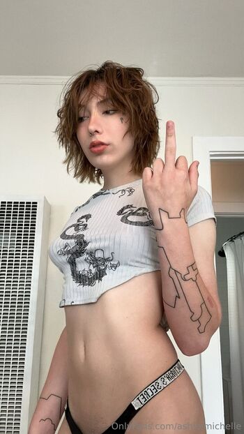 ashlei michelle / ashleimichelle nude photo #6