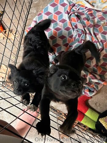 Ashley Kay of Dalla / ashleykaydtx nude photo #13