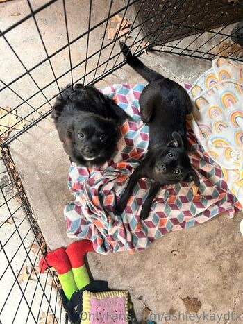 Ashley Kay of Dalla / ashleykaydtx nude photo #16