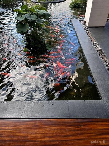 AsianLil / asian_lili / asiianlilii nude photo #37