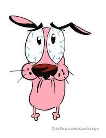 AsianBunny / asianbunnyx nude photo #29