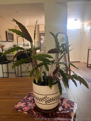 Aspen Gree / aspencgreenthumb / aspencgreen nude photo #19