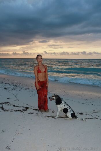 Audrey L / audrey.li nude photo #31