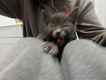 Ca / awadacad0 nude photo #2