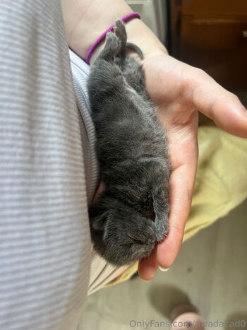 Ca / awadacad0 nude photo #17