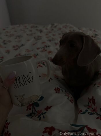 Ayumi / ayumi_i nude photo #18