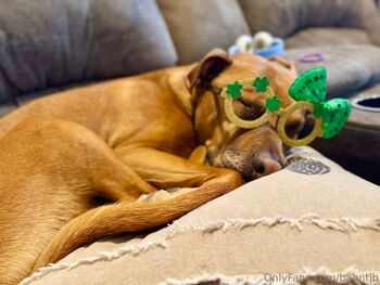 babntj / babntjb nude photo #15