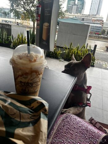 Catia / babycatia nude photo #32